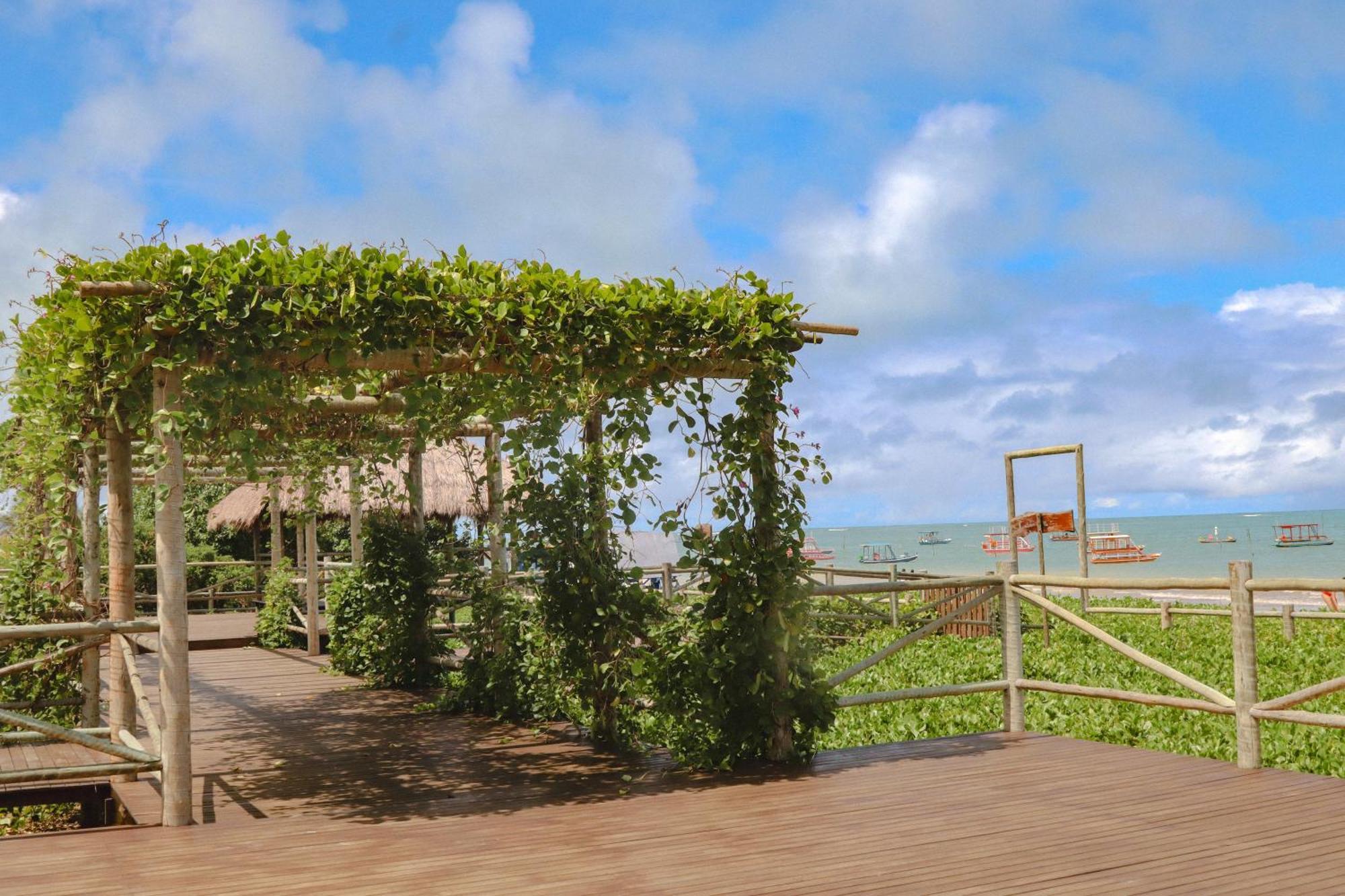 Casa Seriguela - Praia Do Patacho - Rota Ecologica Dos Milagres Pôrto de Pedras المظهر الخارجي الصورة